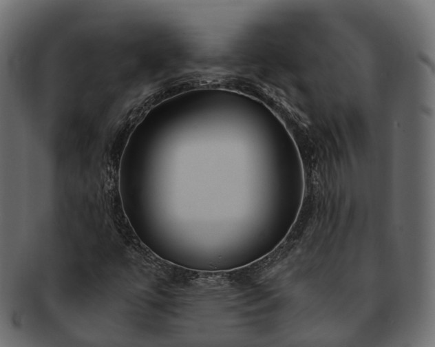 X0000093231447200710031449