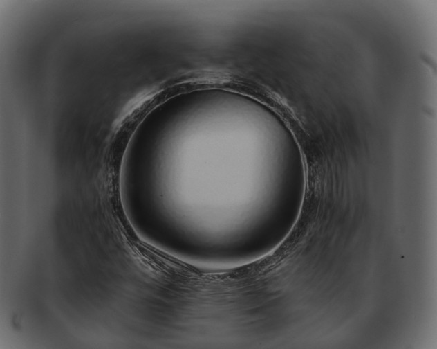 X0000093231448200710031449