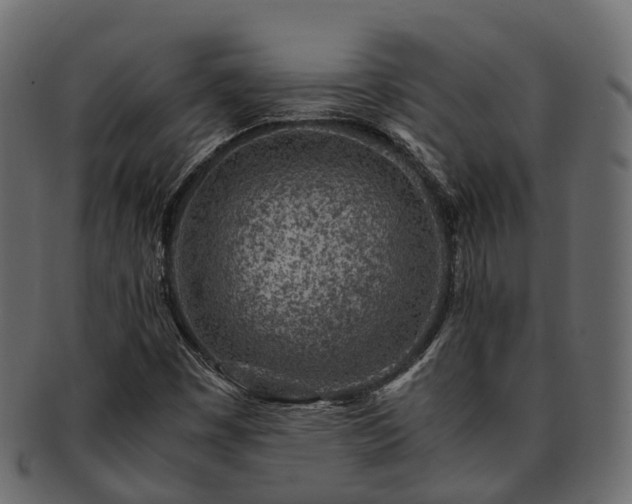 X0000093231449200710031449