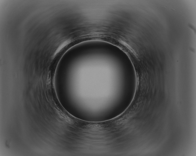 X0000093231450200710031449