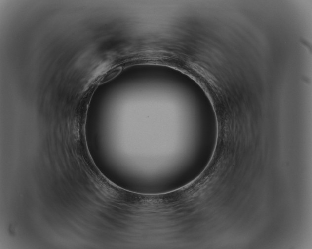 X0000093231451200710031449