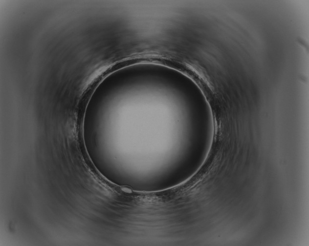 X0000093231452200710031449