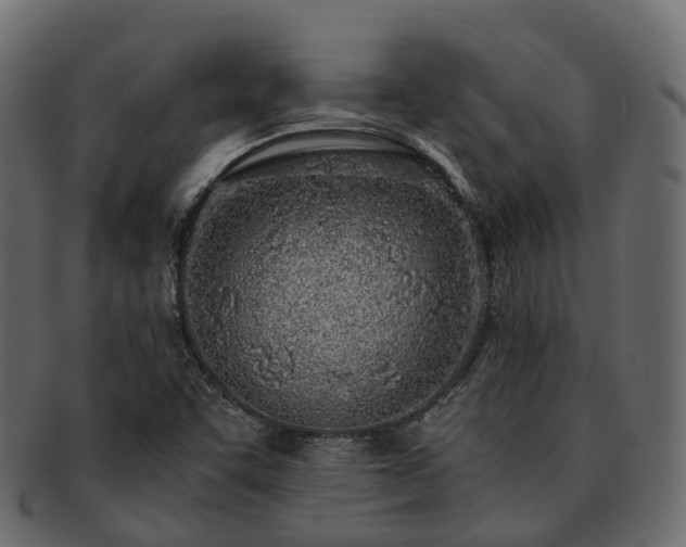 X0000093231455200710031449