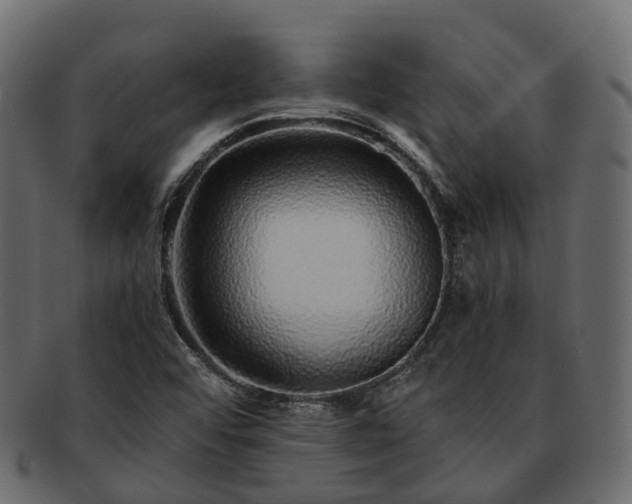 X0000093231456200710031449