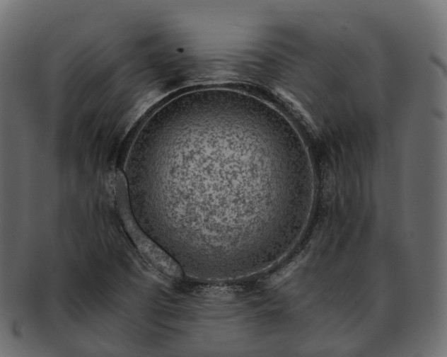 X0000093231457200710031449