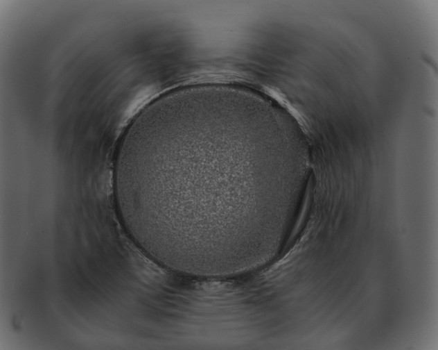 X0000093231459200710031449