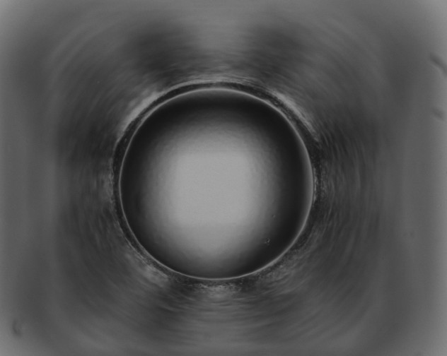 X0000093231460200710031449