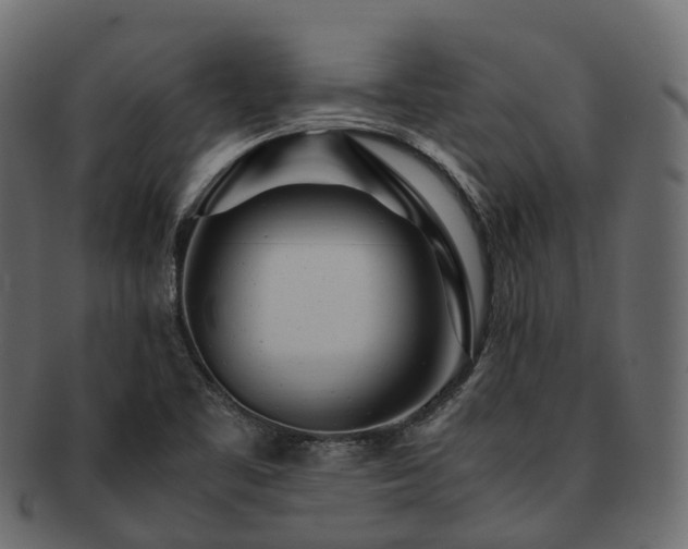 X0000093231461200710031449