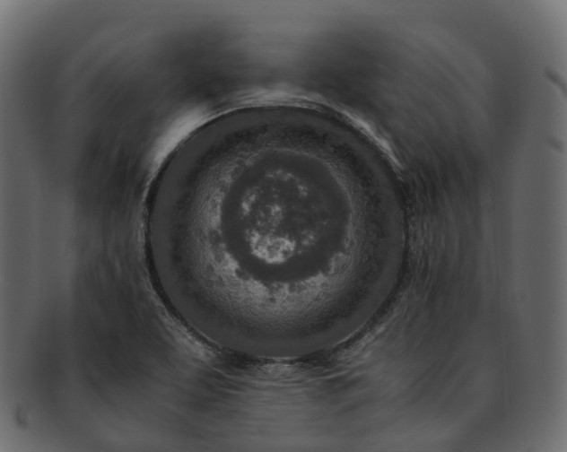 X0000093231463200710031449