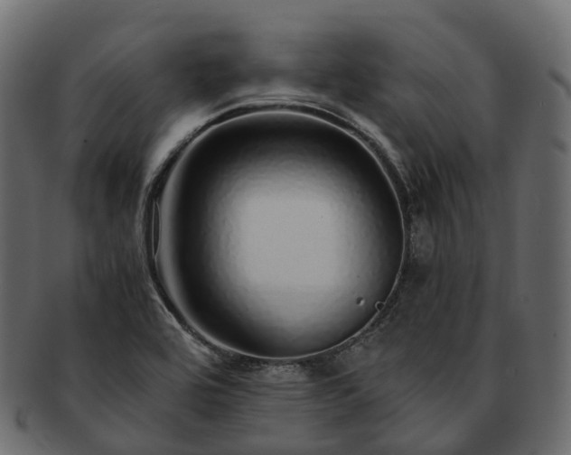 X0000093231464200710031449