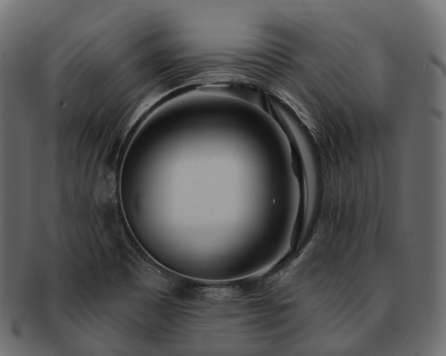 X0000093231465200710031449