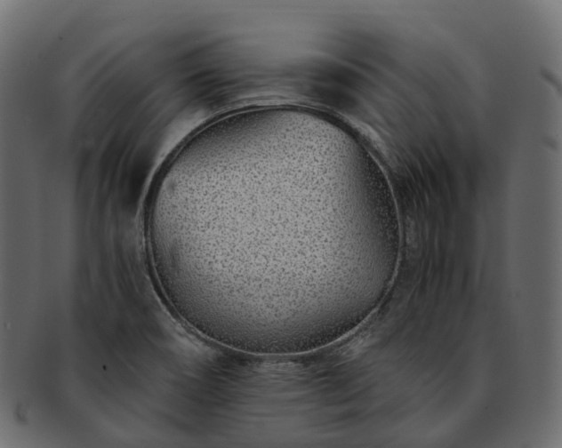 X0000093231466200710031449