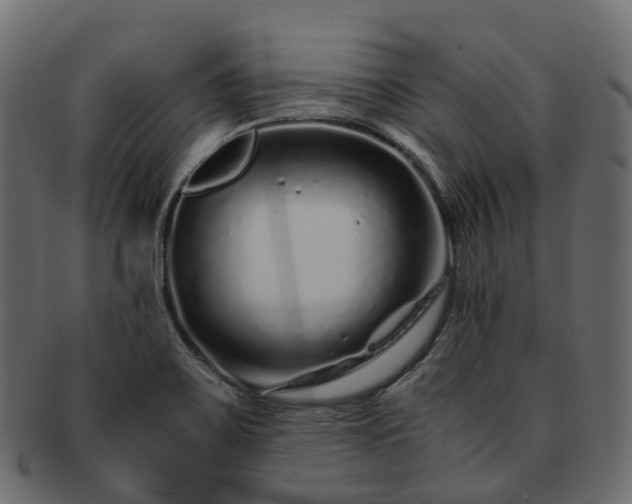 X0000093231467200710031449