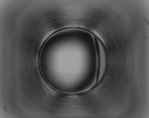 X0000093231468200710031449