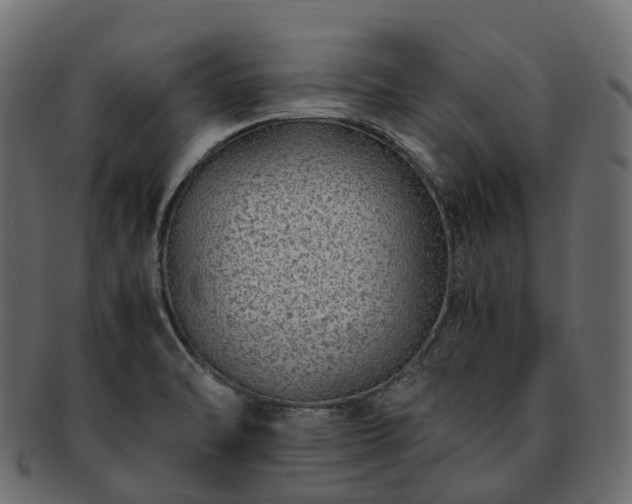 X0000093231470200710031449