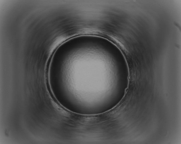 X0000093231471200710031449