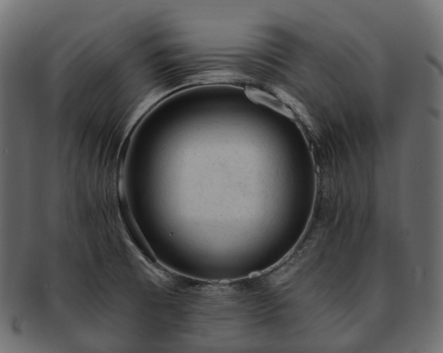 X0000093231473200710031449
