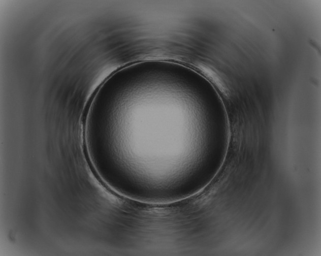 X0000093231476200710031449