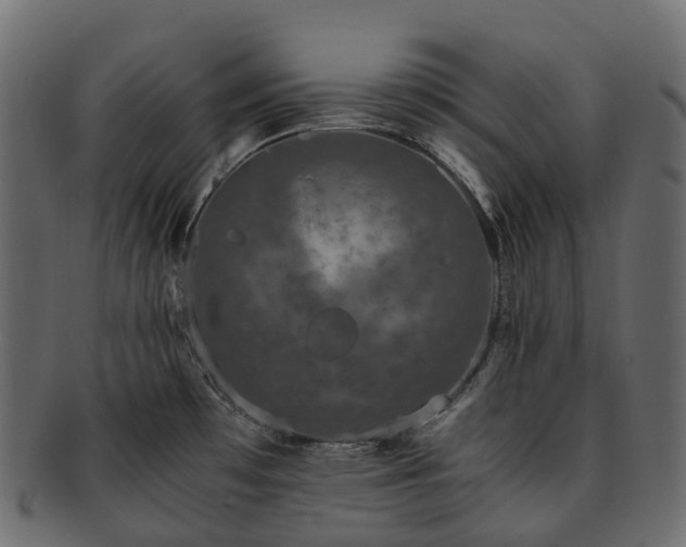 X0000093231481200710031449