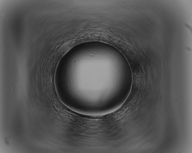X0000093231489200710031448