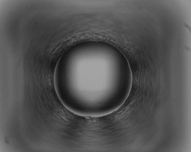 X0000093231490200710031448