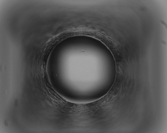 X0000093231493200710031448