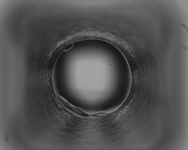 X0000093231494200710031448