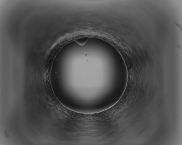 X0000093231495200710031448