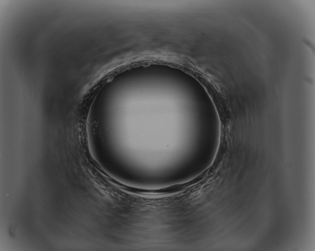 X0000093231496200710031448