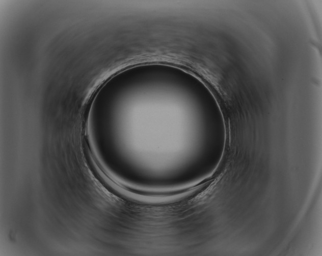 X0000093231500200710031448