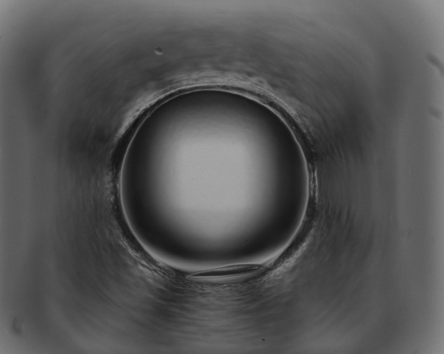 X0000093231501200710031448