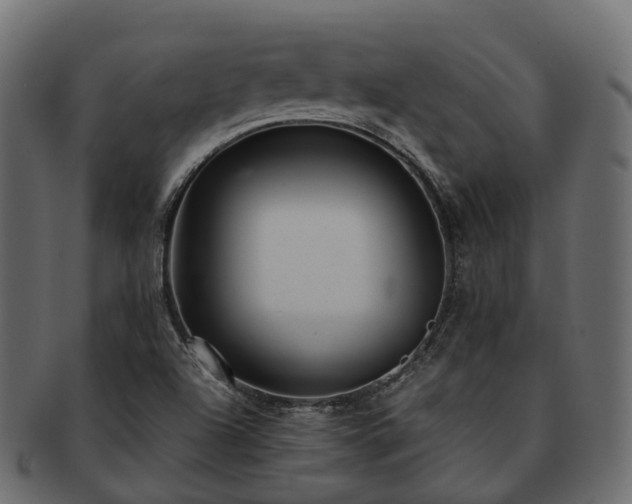 X0000093231504200710031448