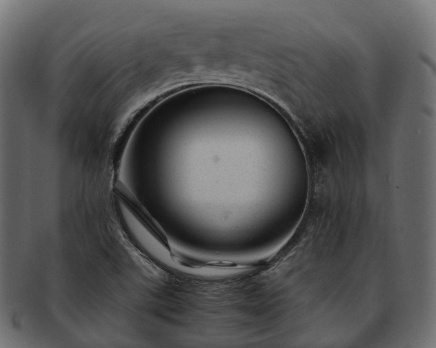 X0000093231507200710031448