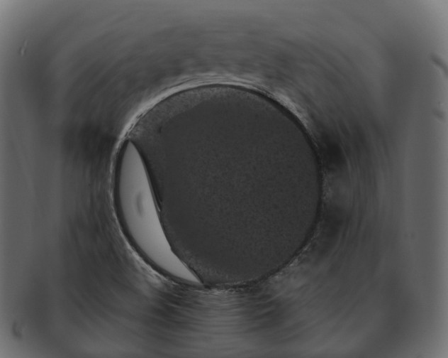 X0000093231508200710031448