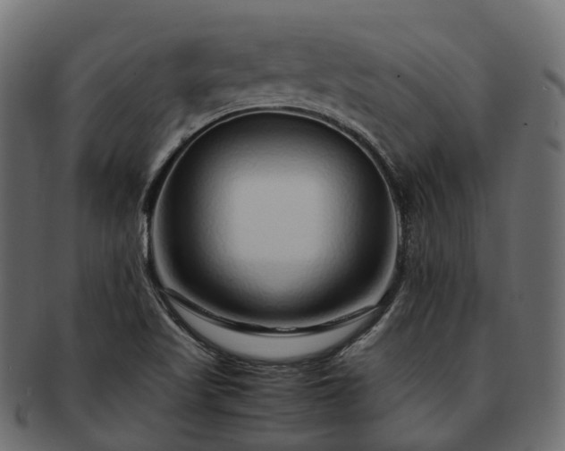 X0000093231509200710031448