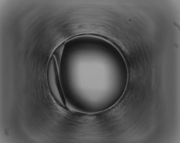 X0000093231513200710031448