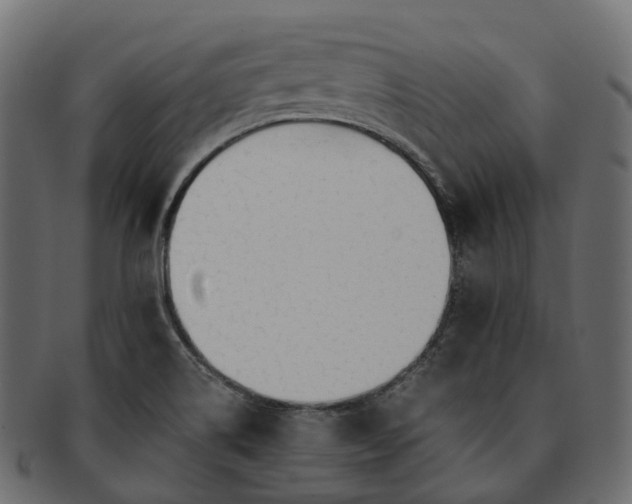 X0000093231514200710031448