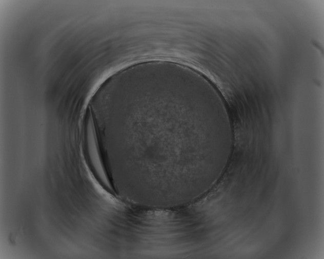 X0000093231515200710031449