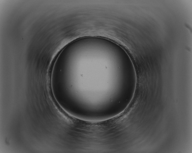 X0000093231517200710031449