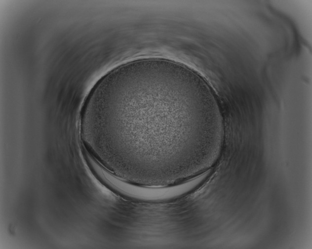 X0000093231519200710031449