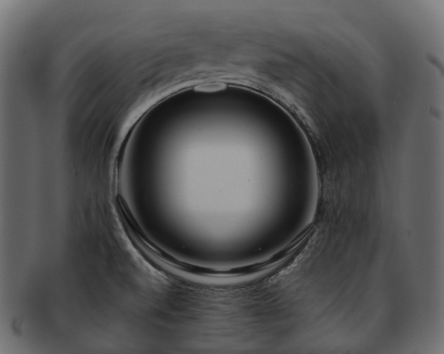 X0000093231520200710031449