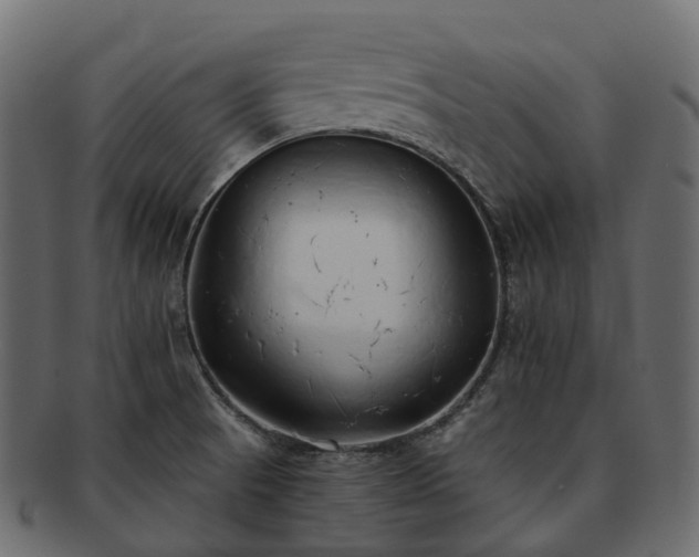 X0000093231521200710031449