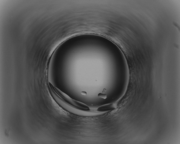X0000093231524200710031449