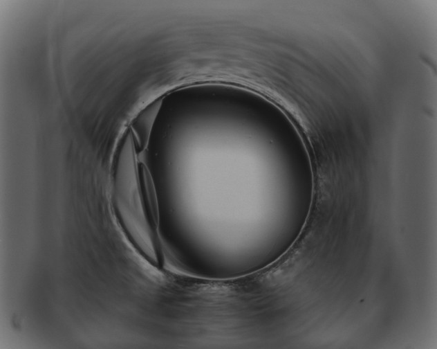 X0000093231525200710031449