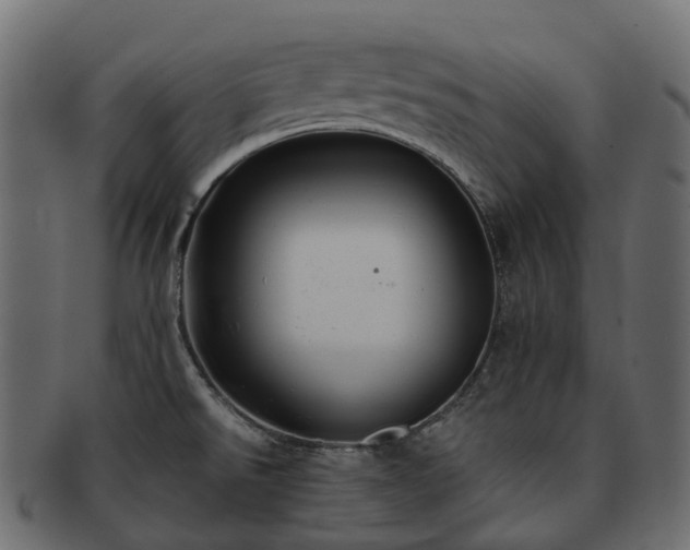 X0000093231526200710031449