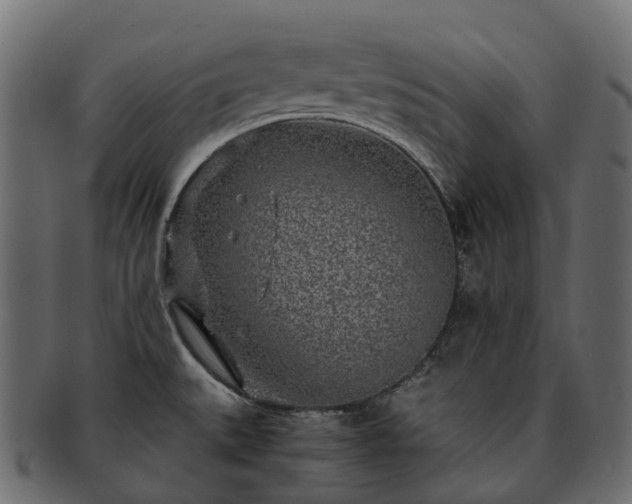 X0000093231527200710031449