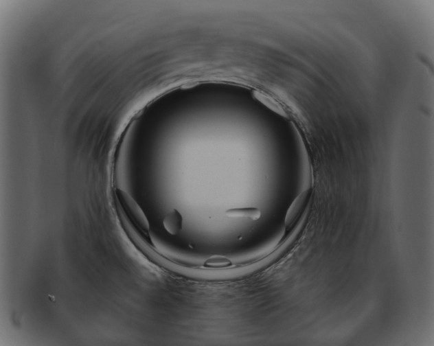 X0000093231528200710031449