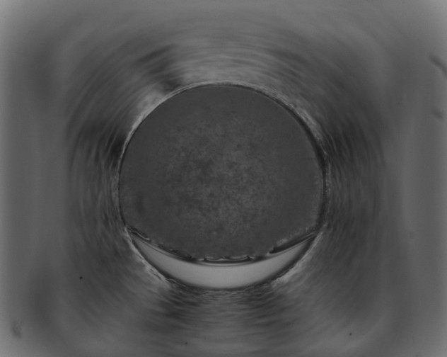 X0000093231529200710031449