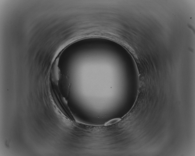 X0000093231530200710031449