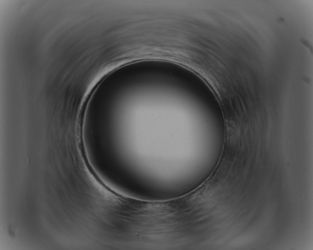 X0000093231531200710031449